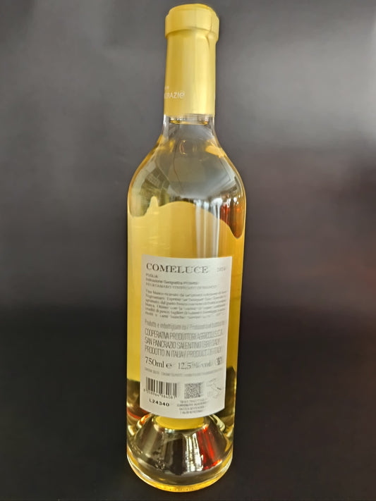 comprare negroamaro comeluce online bottega imperiale invio gratuito Negroamaro Vinificato in Bianco
Puglia Indicazione Geografica Protetta invio gratis pagina web