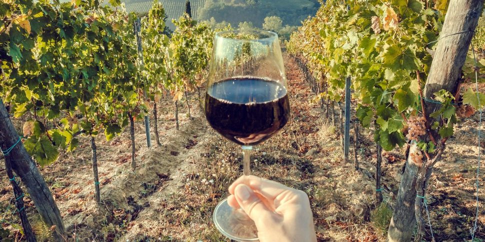 dove posso comprare vino senza solfiti 100% naturale biologico pugliese agricoltura rigenerativa online shop qualità italiana vini bio