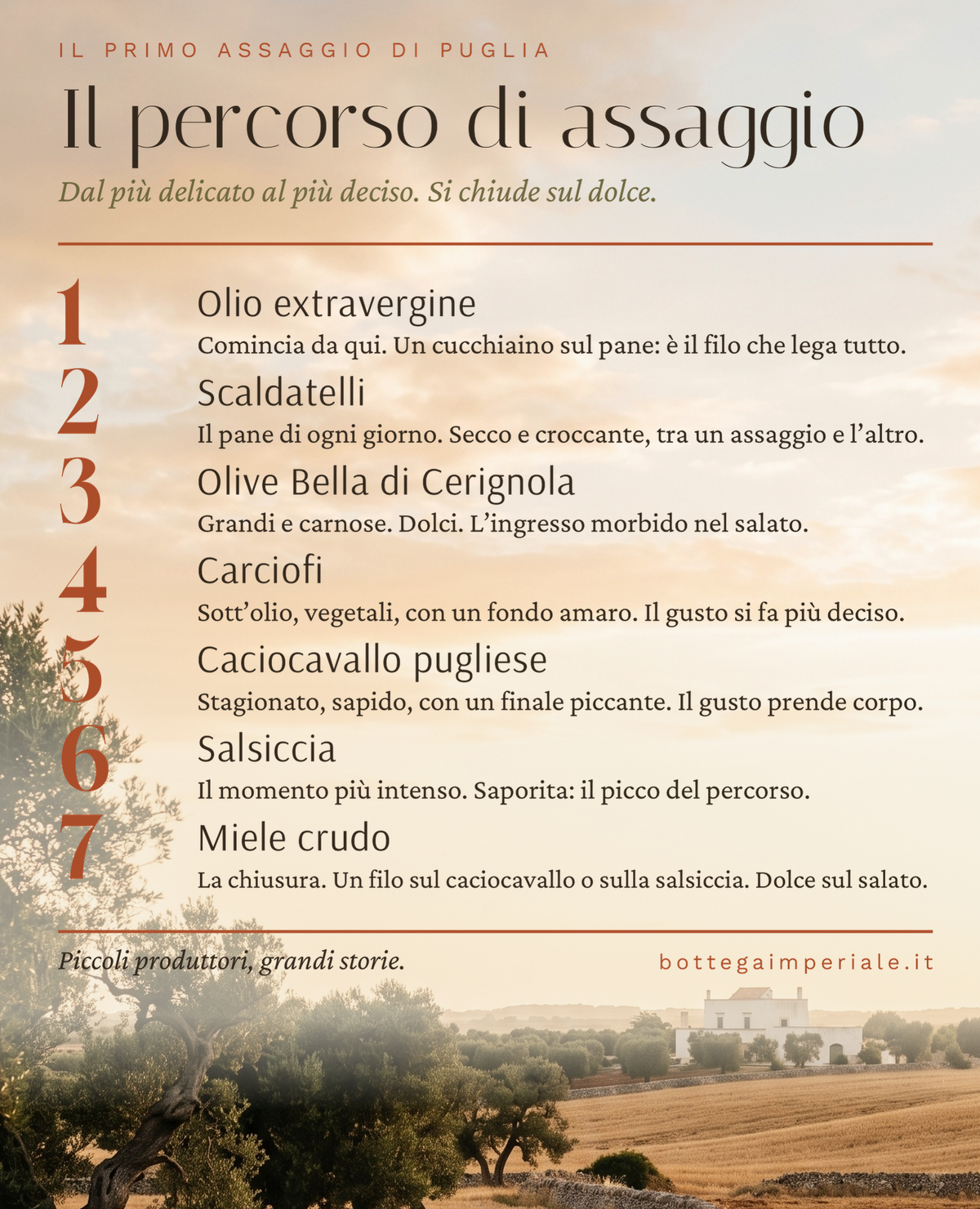 Card del percorso di assaggio del box Il Primo Assaggio di Puglia, su sfondo di campagna salentina con ulivi secolari e muretto a secco al tramonto